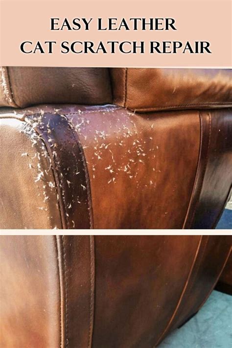 How to How to Fix Cat Scratches on Leather Furniture the Right Way?