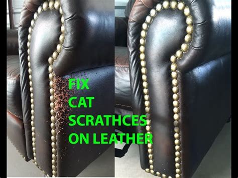 Is It Worth It to Fix Leather Sofa Cat Scratches?