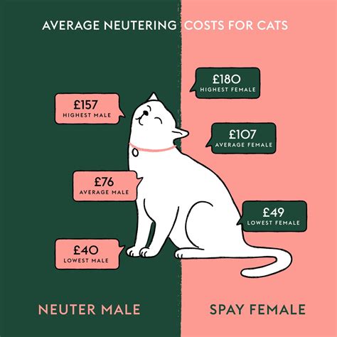 What Are the Costs to When Can Cats Be Fixed?