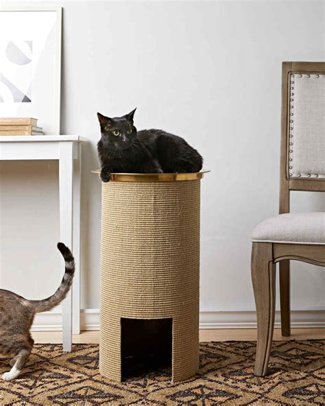 What Experts Say About How to Fix A Cat Scratching Post
