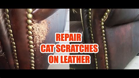 Why Should You How to Fix Cat Scratches in Leather Couch?